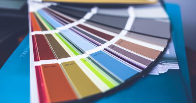 Tendencias de Color para el 2024 | Tienda de Pinturas