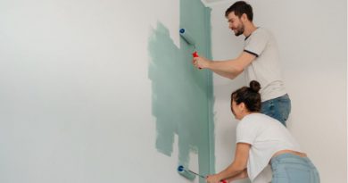 ¿Cómo pintar una pared nueva? - Tienda de Pintura